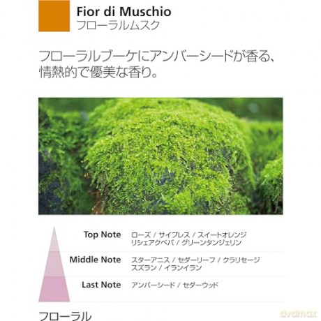 Millefiori 41REMFM Fior Di Muschio Nachfüllflasche 250 ml für Raumduft Diffusor Zona, Plastik, Gelb, 5.3 x 0.4 x 17.2 cm