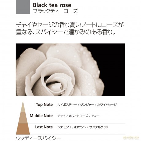 Millefiori Milano Refill Nachfüllflasche für Duftdifussor mit der Duftnote Black Tea Rose 250ml, 7DDBT