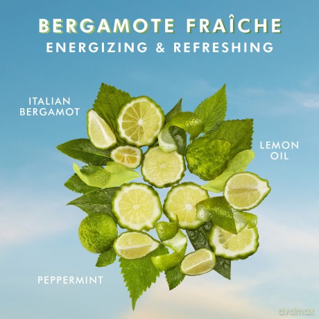 Moroccanoil Handcreme Bergamote Fraîche 100 ml