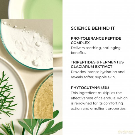 NATURA BISSÉ - TOLERANCE Genesungscreme 50 ml - unisex