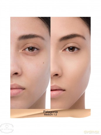 Natural Radiant Longwear Foundation - Patagonia by NARS for Women - 28,3 g Foundation