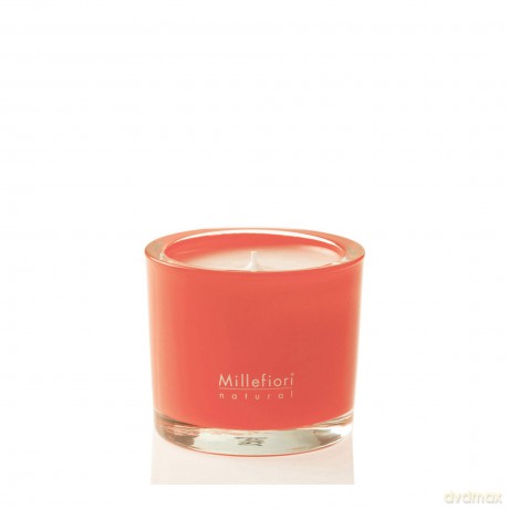New Natural Scented Candle Almond Blush