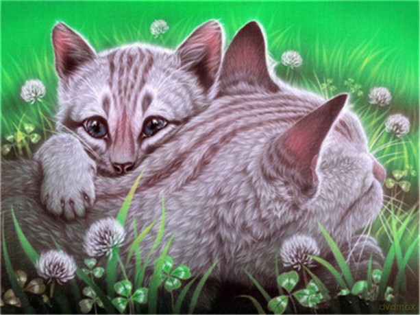 No-brand Ölgemälde Malen nach Zahlen - Wiesenkatze Elternschaft - DIY Malen nach Zahlen Kreative Geschenke für Erwachsene, Kinder und Anfänger auf Leinwand gezeichnet - 40x50cm (Mit Rahmen)