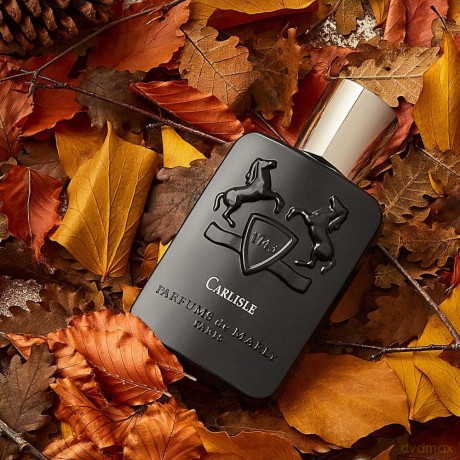 PARFUM DE MARLY Carlisle Unisex Eau de Parfum Spray, 1er Pack(1 x 125 ml)