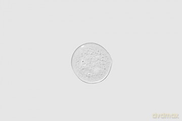 Paul Mitchell Super Clean Sculpting Gel, starker Halt, Glanz und Struktur, für alle Haartypen - 200 ml