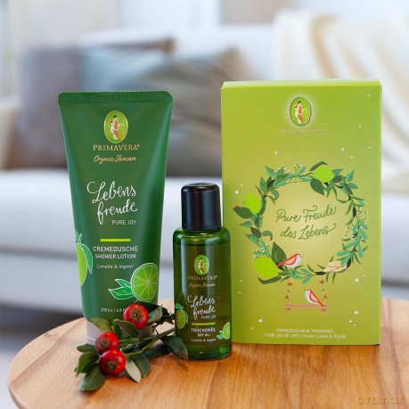 PRIMAVERA Geschenkset Freude - Lebensfreude Cremedusche und Trockenöl - Limette und Ingwer - Naturkosmetik - vegan