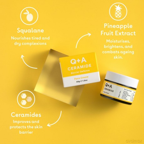 Q+A Ceramid Gesichtscreme, eine Feuchtigkeitscreme für das Gesicht mit Cinamiden, Pro-Vitamin-E und Squalan zur Verbesserung der Feuchtigkeitsversorgung und Elastizität der Haut, 50 g