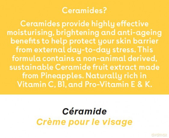 Q+A Ceramid Gesichtscreme, eine Feuchtigkeitscreme für das Gesicht mit Cinamiden, Pro-Vitamin-E und Squalan zur Verbesserung der Feuchtigkeitsversorgung und Elastizität der Haut, 50 g