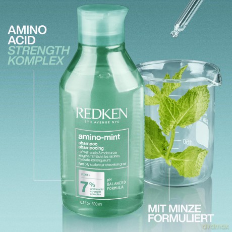 Redken | Haarshampoo für fettige und gereizte Kopfhaut, pH-Wert ausgleichend, Mit Minze und Amino Acid Komplex, Amino Mint Shampoo, 1 x 300 ml