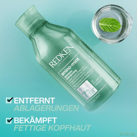 Redken | Haarshampoo für fettige und gereizte Kopfhaut, pH-Wert ausgleichend, Mit Minze und Amino Acid Komplex, Amino Mint Shampoo, 1 x 300 ml