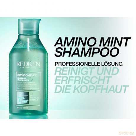 Redken | Haarshampoo für fettige und gereizte Kopfhaut, pH-Wert ausgleichend, Mit Minze und Amino Acid Komplex, Amino Mint Shampoo, 1 x 300 ml