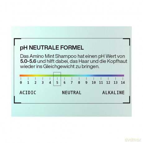 Redken | Haarshampoo für fettige und gereizte Kopfhaut, pH-Wert ausgleichend, Mit Minze und Amino Acid Komplex, Amino Mint Shampoo, 1 x 300 ml