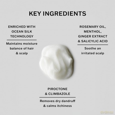 Scalp Conditioner - Volume: 990 ml