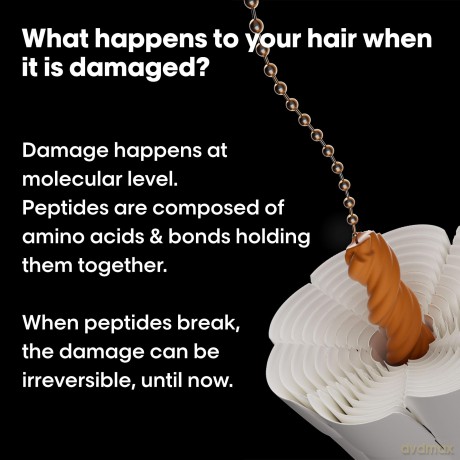Shampoo for damaged hair Absolut Repair Molecular Professional Shampoo - Volume: 500 ml
