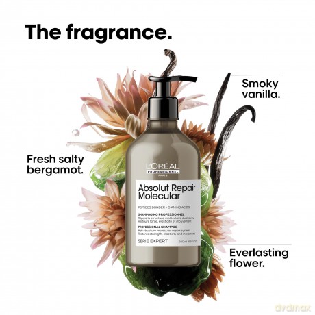 Shampoo for damaged hair Absolut Repair Molecular Professional Shampoo - Volume: 500 ml