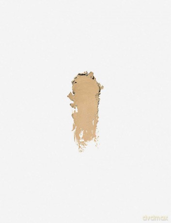 Skin Foundation Stick by Bobbi Brown Cool Beige 9g