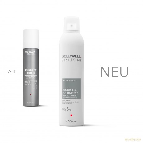 STYLESIGN HAIRSPRAY FLEXIBLES HAARSPRAY ideal für alle Haarstrukturen, 300ml