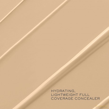 TEINT IDOLE ULTRA WEAR all over concealer #023-buff