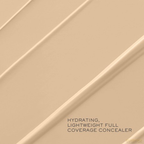 Teint Idole Ultra Wear Corrector Facial 13 ml