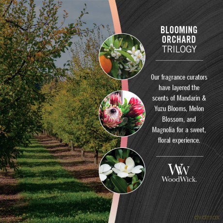 WoodWick Trilogy Blooming Orchard 609.5g