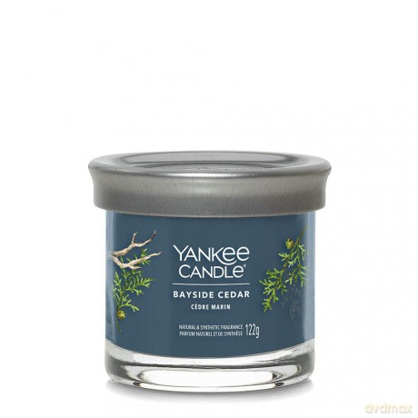 Yankee Candle Signature Kerze Zedernholz, kleines Modell