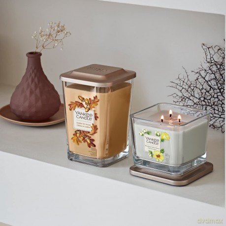 Yankee Candle Amber und Acorn Duftkerze, Glas, Braun, Klein, 96