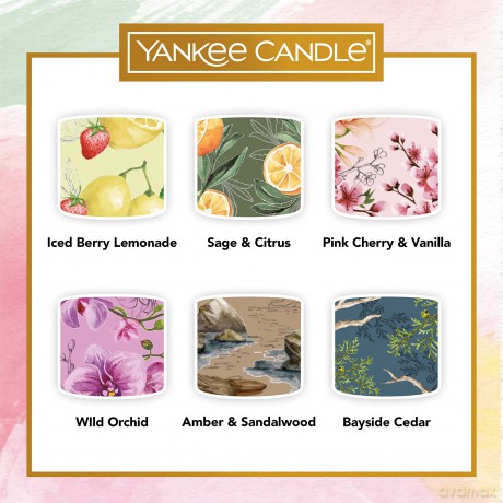 Yankee Candle Black Cherry Duftkerze, Sojawachs, 6 gefüllte Votivkerzen, 6