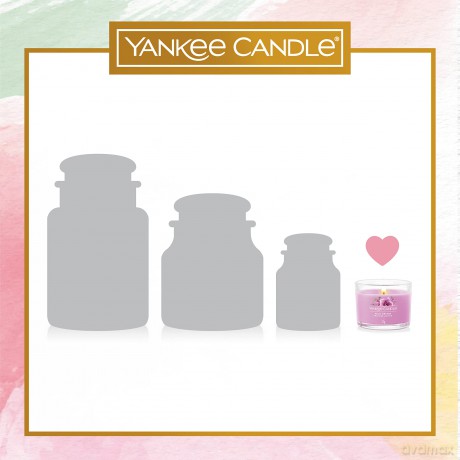 Yankee Candle Black Cherry Duftkerze, Sojawachs, 6 gefüllte Votivkerzen, 6