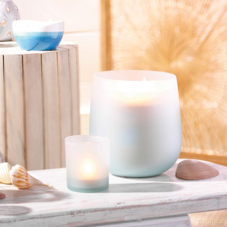 Yankee Candle Duft-Teelichte, Pomegranate Gin Fizz, Alpine Christmas Collection, 12 Stück