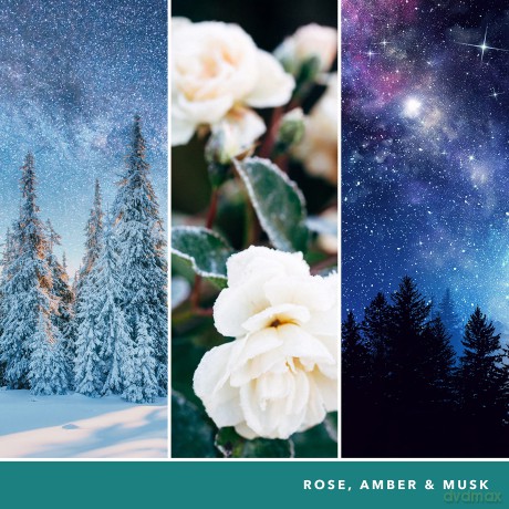 Yankee Candle Winter Night Stars