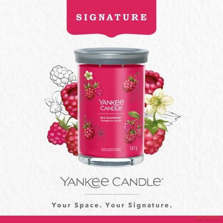 Yankee Candle Red Raspberry