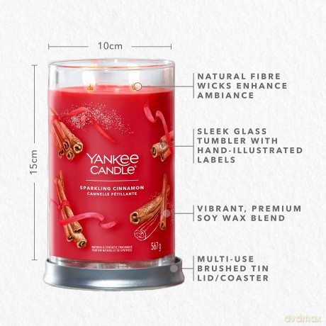 Yankee Candle Sparkling Cinnamon
