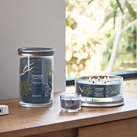 Yankee Candle Bayside Cedar