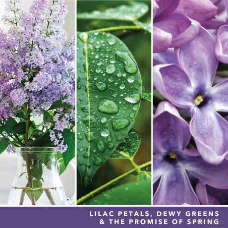 Yankee Candle Lilac Blossoms