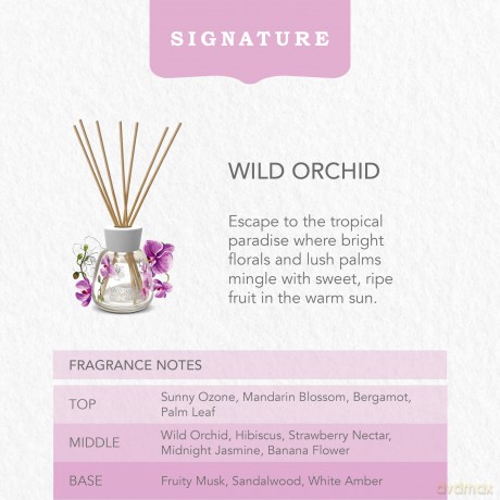 Yankee Candle Signature Reed Dyfuzor zapachowy Wild Orchid 100 ml