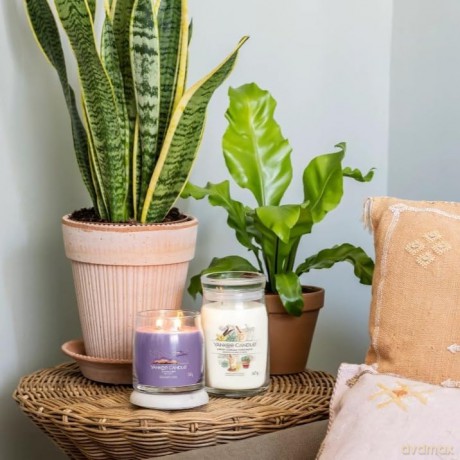 Yankee Candle Stargazing Medium Jar