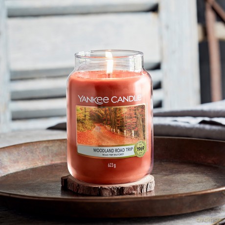 Yankee Candle Woodland Road Trip Duftkerze, Glas, Rot, 10.7 cm, Würzig.verlockende
