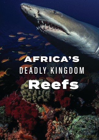 Africa's Deadly Kingdom: Reefs [DVD]