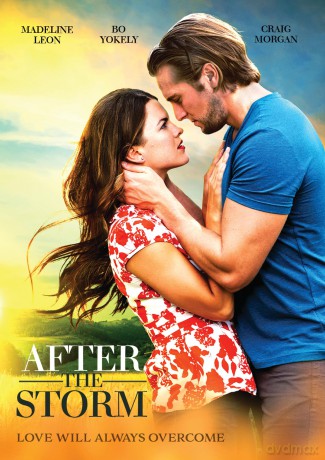 After The Storm (Po burzy) [DVD]