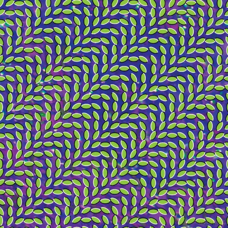 Animal Collective: Merriweather Post Pavilion (Limited) [Winyl]