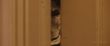 Good Boy [Blu-Ray]