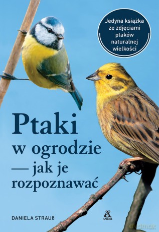 Ptaki w ogrodzie - jak je rozpoznawać - Daniela Strauss [KSIĄŻKA]