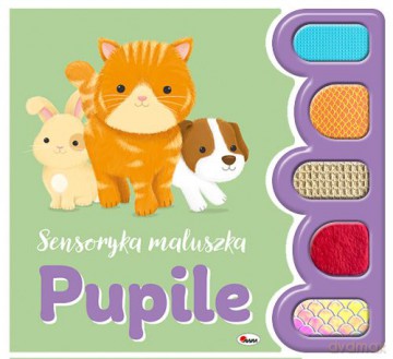 Pupile. Sensoryka maluszka - Natalia Kawałko-Dzikowska [KSIĄŻKA]