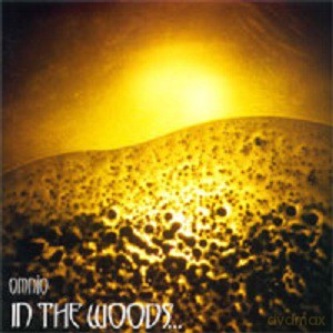 In The Woods: Omnio [2xWINYL]