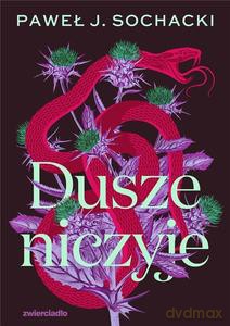 Dusze niczyje - Paweł J. Sochacki [KSIĄŻKA]