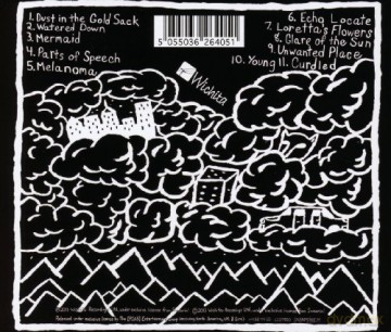 Swearin: Surfing Strange [CD]