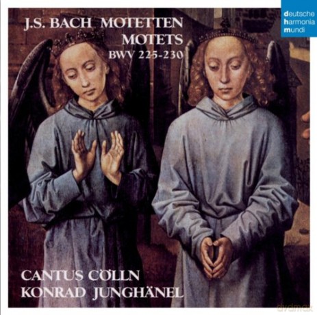 Cantus Colln: Bach Motets [CD]
