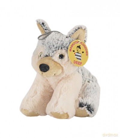 Husky mały