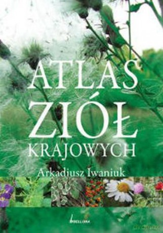 Atlas Ziół Krajowych - Arkadiusz Iwaniuk [KSIĄŻKA]