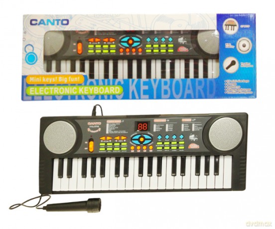 Organki z mikrofonem